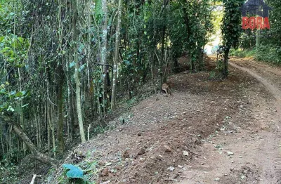 Terreno à venda, 518 m² por r$ 91.000,00 - samambaia - mairiporã/sp