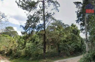 Terreno à venda, 871 m² por r$ 260.000 - roseira - mairiporã/sp