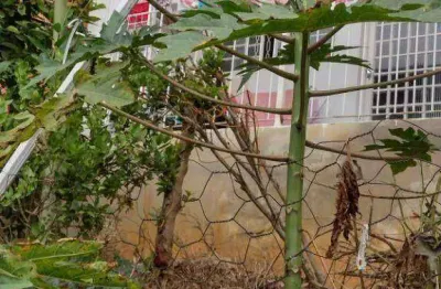 Conjunto à venda, 600 m² por r$ 900.000 - estrada da roseira - mairiporã/sp