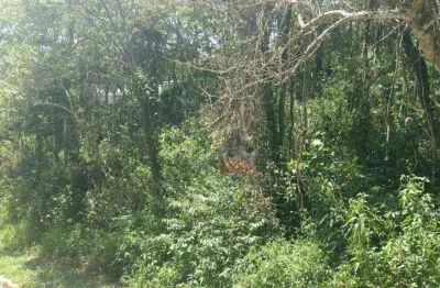 Terreno à venda, 2800 m² por r$ 260.000,00 - parque germânia - mairiporã/sp