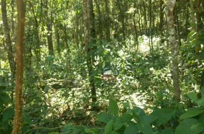 Terreno à venda, 1470 m² por r$ 150.000,00 - parque germânia - mairiporã/sp