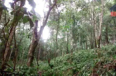 Terreno à venda, 2790 m² por r$ 200.000,00 - capoavinha - mairiporã/sp