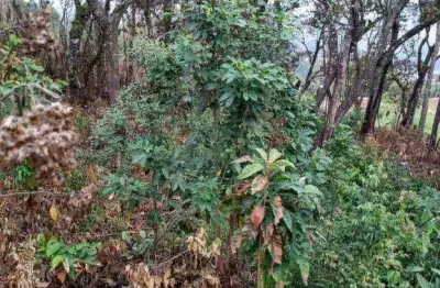 Terreno à venda, 600 m² por r$ 75.000,00 - jundiaizinho - mairiporã/sp