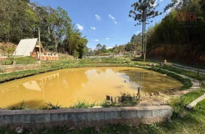 Chácara com 1 dormitório à venda, 6000 m² por r$ 600.000 - lavras - mairiporã/sp