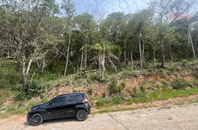 Terreno à venda, 1000 m² por r$ 90.000 - aldeia mairiporã - mairiporã/sp