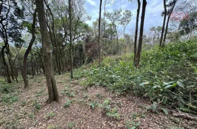 Terreno à venda, 1000 m² por r$ 120.000,00 - aldeia mairiporã - mairiporã/sp