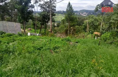 Terreno à venda, 600 m² por r$ 80.000,00 - jundiaizinho - mairiporã/sp