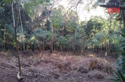 Terreno à venda, 5000 m² por r$ 150.000,00 - mato dentro - mairiporã/sp