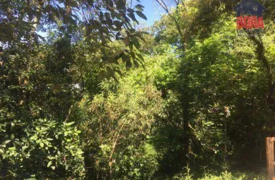 Terreno à venda, 400 m² por r$ 60.000,00 - capoavinha - mairiporã/sp