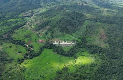 Fazenda com 3 dormitórios à venda, 211 m² por r$ 11.605.000,00 - zona rural - minaçu/go