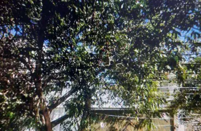 Terreno comercial para alugar na Rua Pinheiro Guimarães, Parque da Vila Prudente, São Paulo