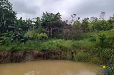 Sítio formado e produzindo, com 3 dormitórios à venda, 96800 m² por r$ 450.000 - centro - sete barras/sp