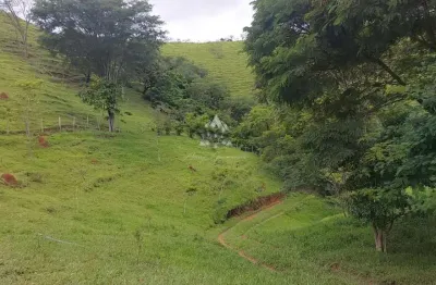 Sítio para venda em são sebastião, sertão do camburi, 4 dormitórios, 2 suítes, 1 banheiro