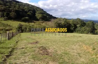 Chácara / sítio com 2 quartos à venda na estrada acoita cavalo, 5323, centro, morro redondo por r$ 320.000
