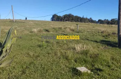 Chácara / sítio com 2 quartos à venda na km 28 da br 293, 28, centro, capão do leão por r$ 212.000