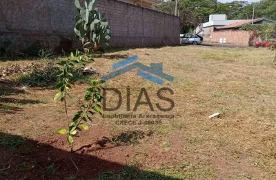 Terreno 300 metros na rota 81 ótima localização e região segura