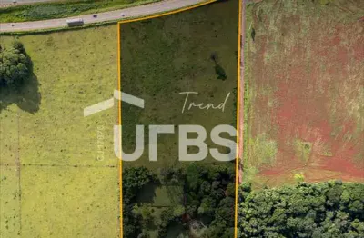 Chácara / sítio com 5 quartos à venda na Rodovia GO-080, 43, Chácaras Bom Retiro, Goiânia