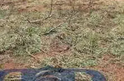 Terreno à venda na Zona Rural, Iacanga 