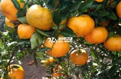 Vendo lindo sitio com documento publico e um valor especial de apenas r$ 590.000