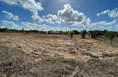 Chácara à venda, 1000 m² por r$ 35.000,00 - lagoa do bonfim - nísia floresta/rn