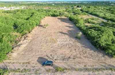 Área à venda, 4800 m² por r$ 95.000,00 - br 304 - macaíba/rn