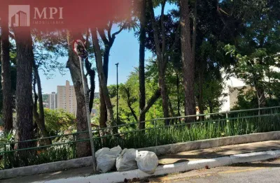 Terreno à venda, 740 m² por r$ 2.000.000,00 - parque mandaqui - são paulo/sp