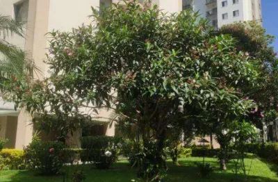 Apartamento com 2 dormitórios à venda, 78 m² por r$ 394.000,00 - vila amélia - são paulo/sp
