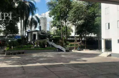 Apartamento com 3 quartos para alugar na Rua Doutor Domingos Guedes Cabral, 83, Parque Mandaqui, São Paulo