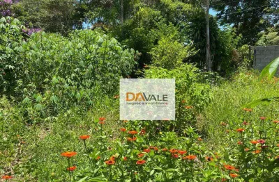 Chácara à venda, 1000 m² por r$ 120.000 - chácara ipês- boa vista - caçapava/sp