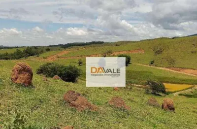 Fazenda à venda, 2904000 m² por r$ 12.720.000,00 - boa vista - caçapava/sp