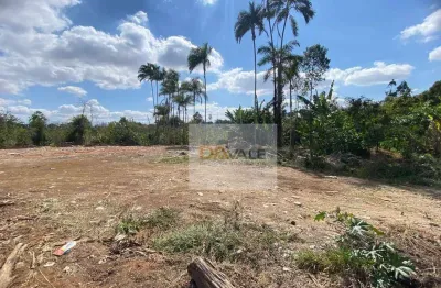 Área à venda, 9000 m² por r$ 1.500.000 - próximo à via dutra - pindamonhangaba/sp