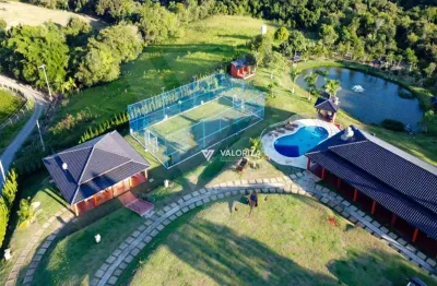 Chácara com 4 dormitórios à venda, 22000 m²  - distrito do porto - capela do alto/sp