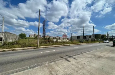 Área à venda, 5000 m² por R$ 10.000.000,00 - Ipanema Ville - Sorocaba/SP