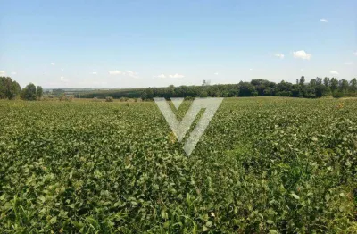 Terreno comercial à venda na Estrada Vicinal Roque De Barros Leite, 53, Centro, Salto de Pirapora