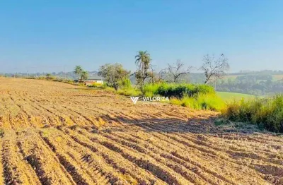 Área à venda, 53160 m² por r$ 2.000.000,00 - jardim novo mundo - sorocaba/sp