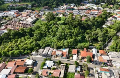 Terreno à venda na Rua João Parize, 81, São Braz, Curitiba