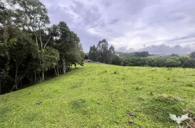 Chácara / sítio à venda na Rua Benedito Soares Pinto, S/N, São João I, Campo Largo