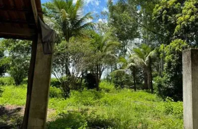 Fazenda à venda na Piracanjuba, Go, Brasil, Zona Rural, Piracanjuba
