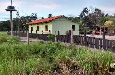 Fazenda à venda na São Félix Do Xingu, Pa, Brasil, Zona Rural, São Félix do Xingu