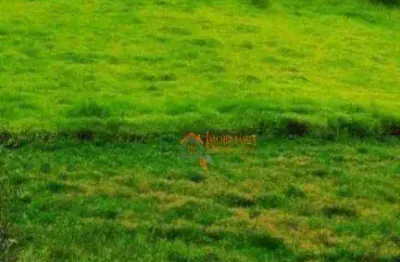 Terreno à venda, 19980 m² por r$ 2.000.000,00 - são bento - arujá/sp