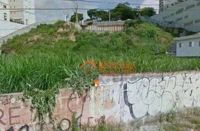 Terreno, 1600 m² - venda por r$ 5.900.000,00 ou aluguel por r$ 22.300,00/mês - vila rosália - guarulhos/sp