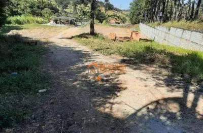 Terreno à venda, 4954 m² por r$ 3.162.000,00 - sítio são francisco - guarulhos/sp