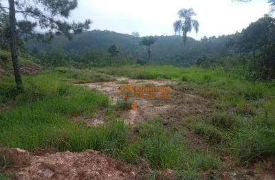 Terreno à venda, 5000 m² por r$ 2.500.000,00 - chácara das lavras - guarulhos/sp
