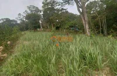 Terreno à venda, 5000 m² por r$ 2.500.000,00 - capelinha - guarulhos/sp