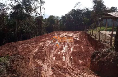 Terreno à venda, 5000 m² por r$ 165.000,00 - pirituba - arujá/sp