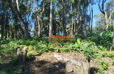Terreno à venda, 3.068m²  por r$ 212.000 - parque santos dumont - guarulhos/sp