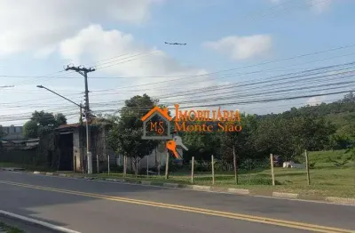 Área à venda, 22000 m² por r$ 13.200.000,00 - rio abaixo - itaquaquecetuba/sp