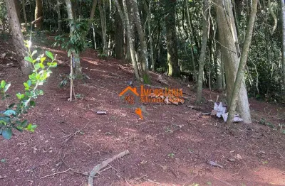 Terreno à venda, 1000 m² por r$ 150.000,00 - jardim paraíso - guarulhos/sp