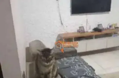 Apartamento com 2 dormitórios à venda, 53 m² por r$ 140.000,00 - vila nova bonsucesso - guarulhos/sp