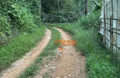 Terreno à venda, 540 m² por r$ 70.000,00 - recreio são jorge - guarulhos/sp